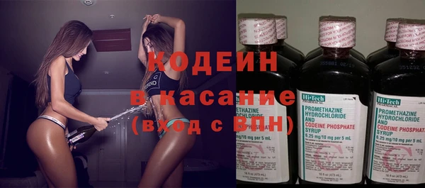 прущие грибы Белокуриха