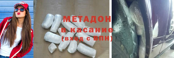 прущие грибы Белокуриха