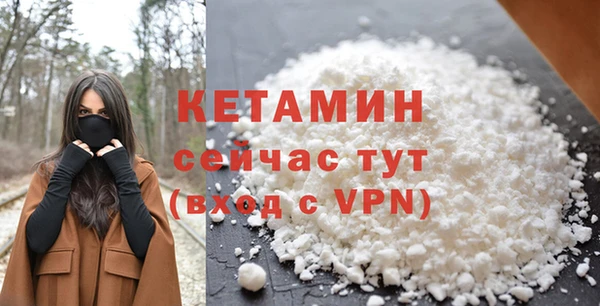 прущие грибы Белокуриха