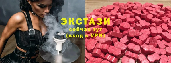 прущие грибы Белокуриха