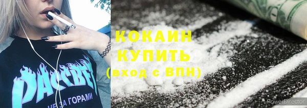 прущие грибы Белокуриха