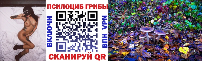 Псилоцибиновые грибы Psilocybe  купить наркоту  Видное 